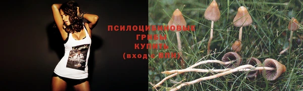 амф Воткинск