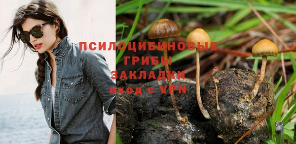 прущие крисы Алзамай