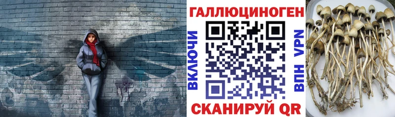 Псилоцибиновые грибы MAGIC MUSHROOMS  Асино 