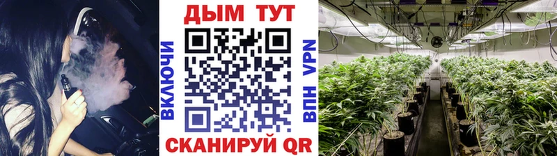 Каннабис индика  где можно купить   Асино 